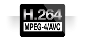 1539-1469-h264_logo2